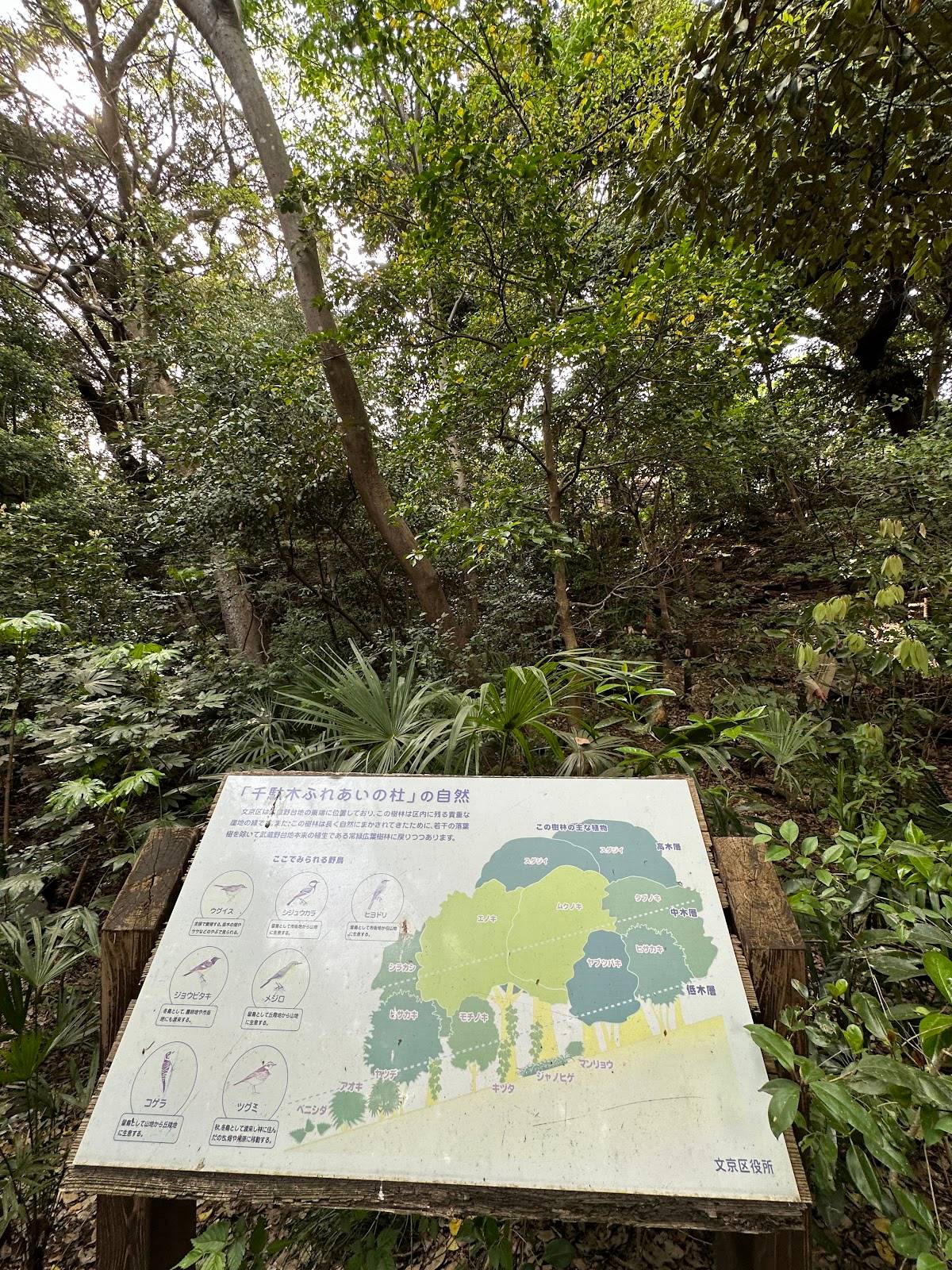Sendagi Fureai-no-mori
