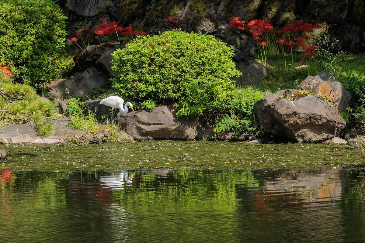 Shinji-ike Pond