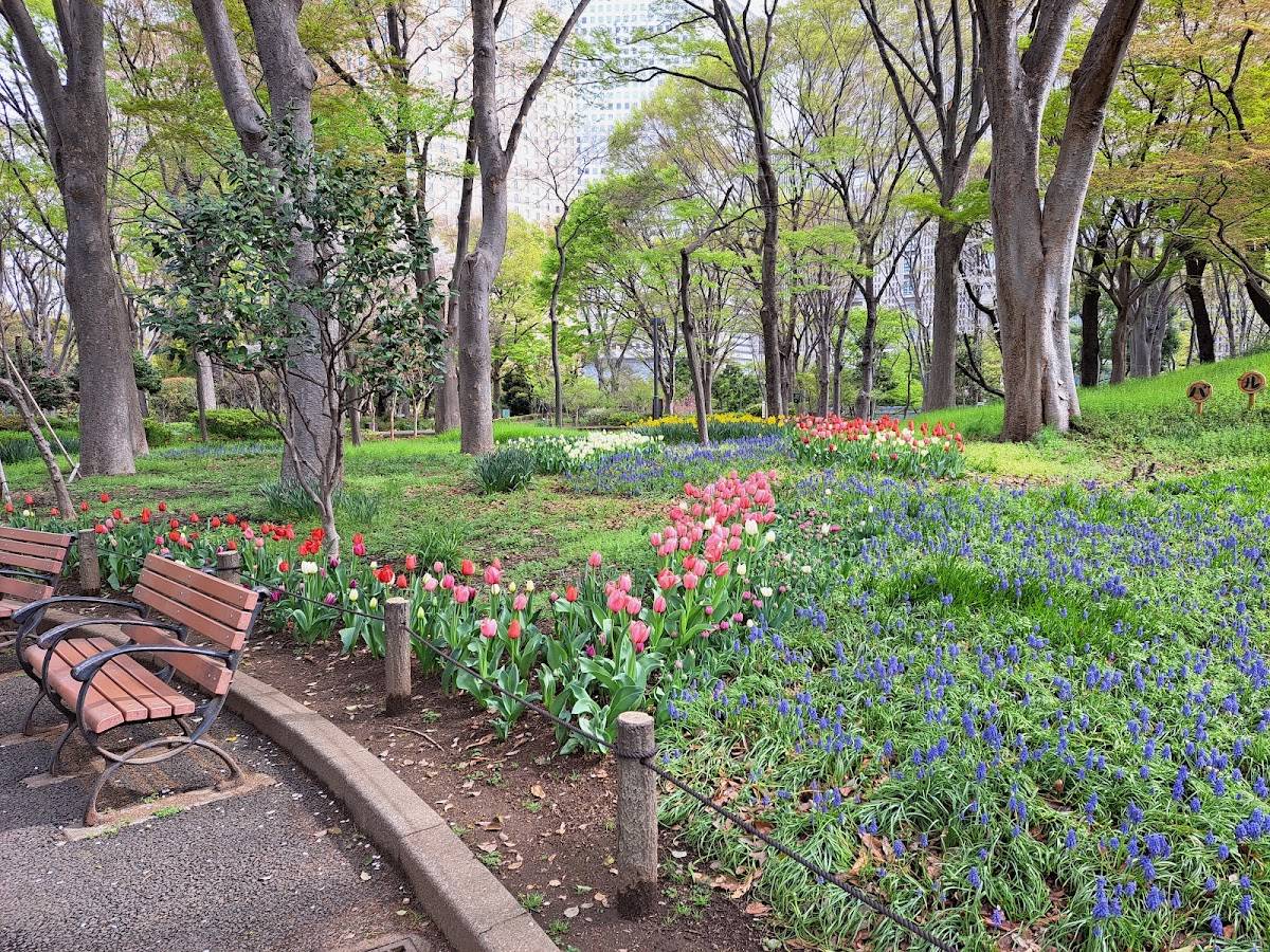 Shinjuku Central Park Citizen's Forest