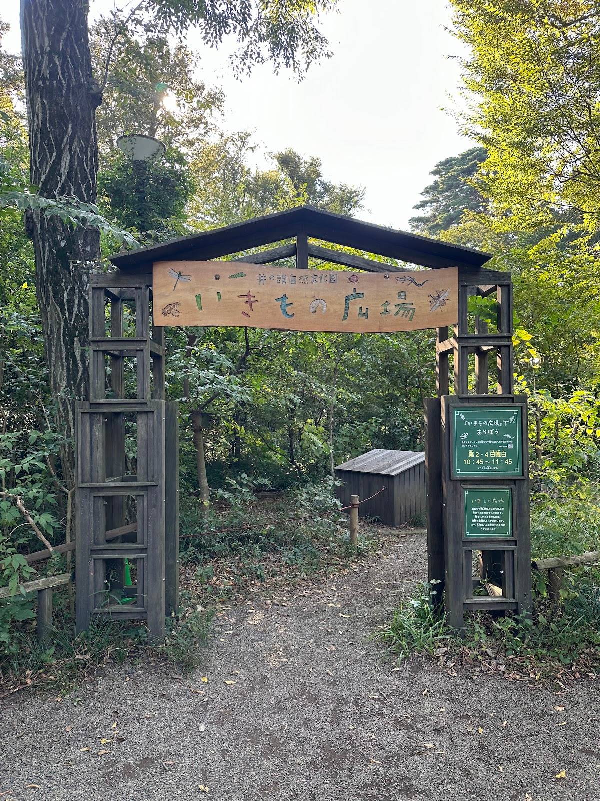 Squirrel Trail