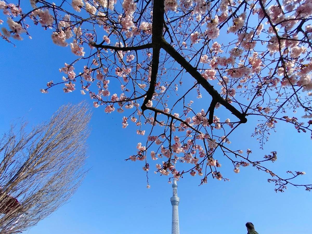 Sumida Park