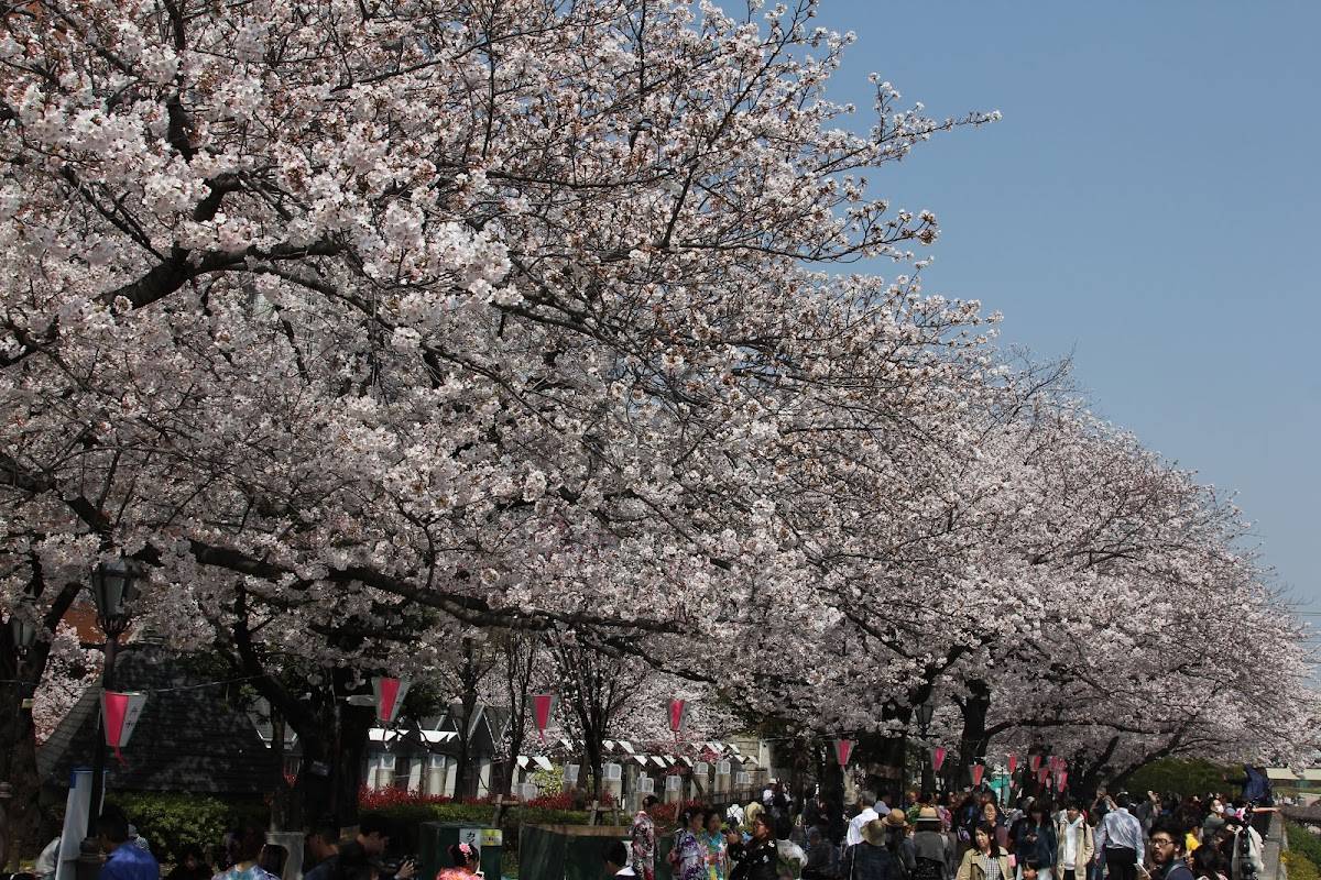 Sumida Park