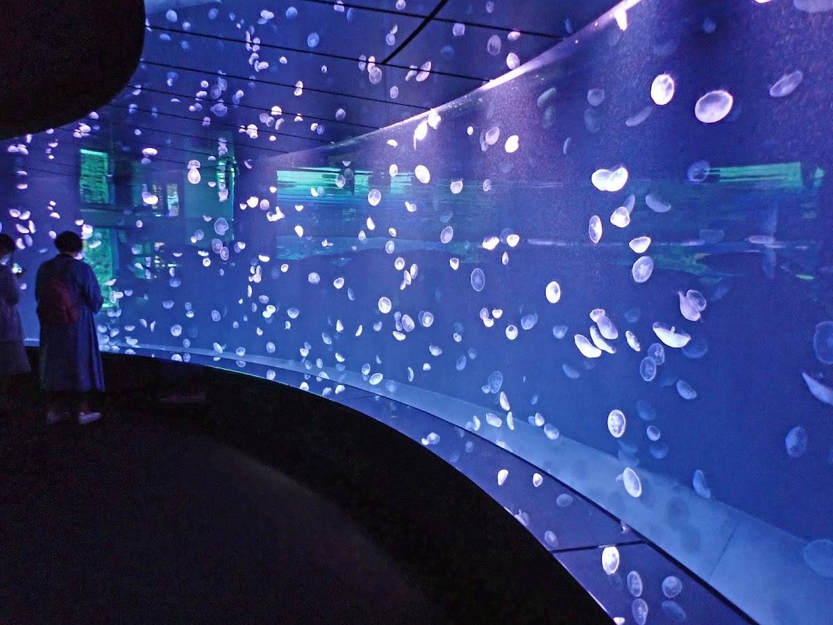 Sunshine Aquarium