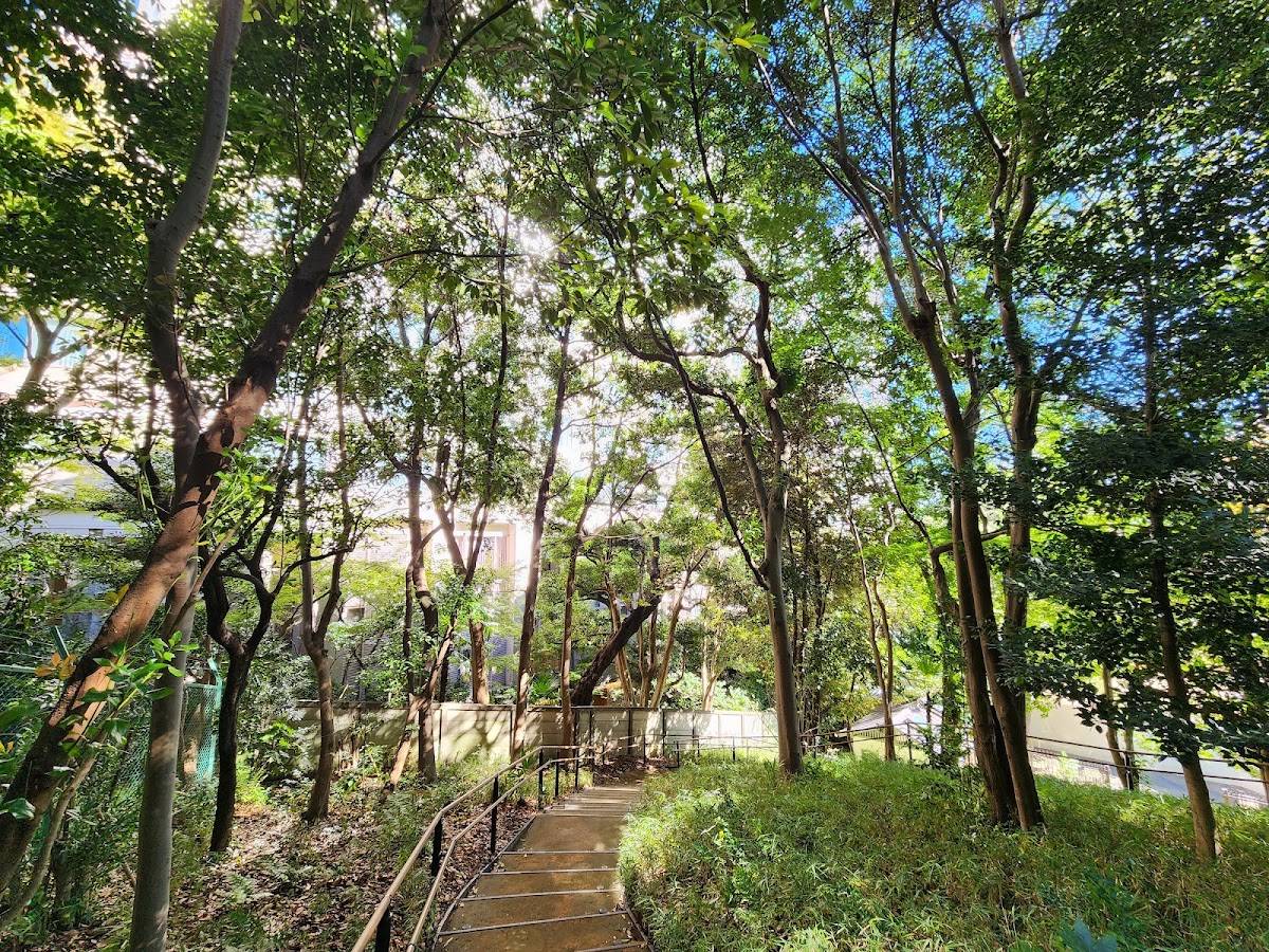 Takanawa Mori No Park