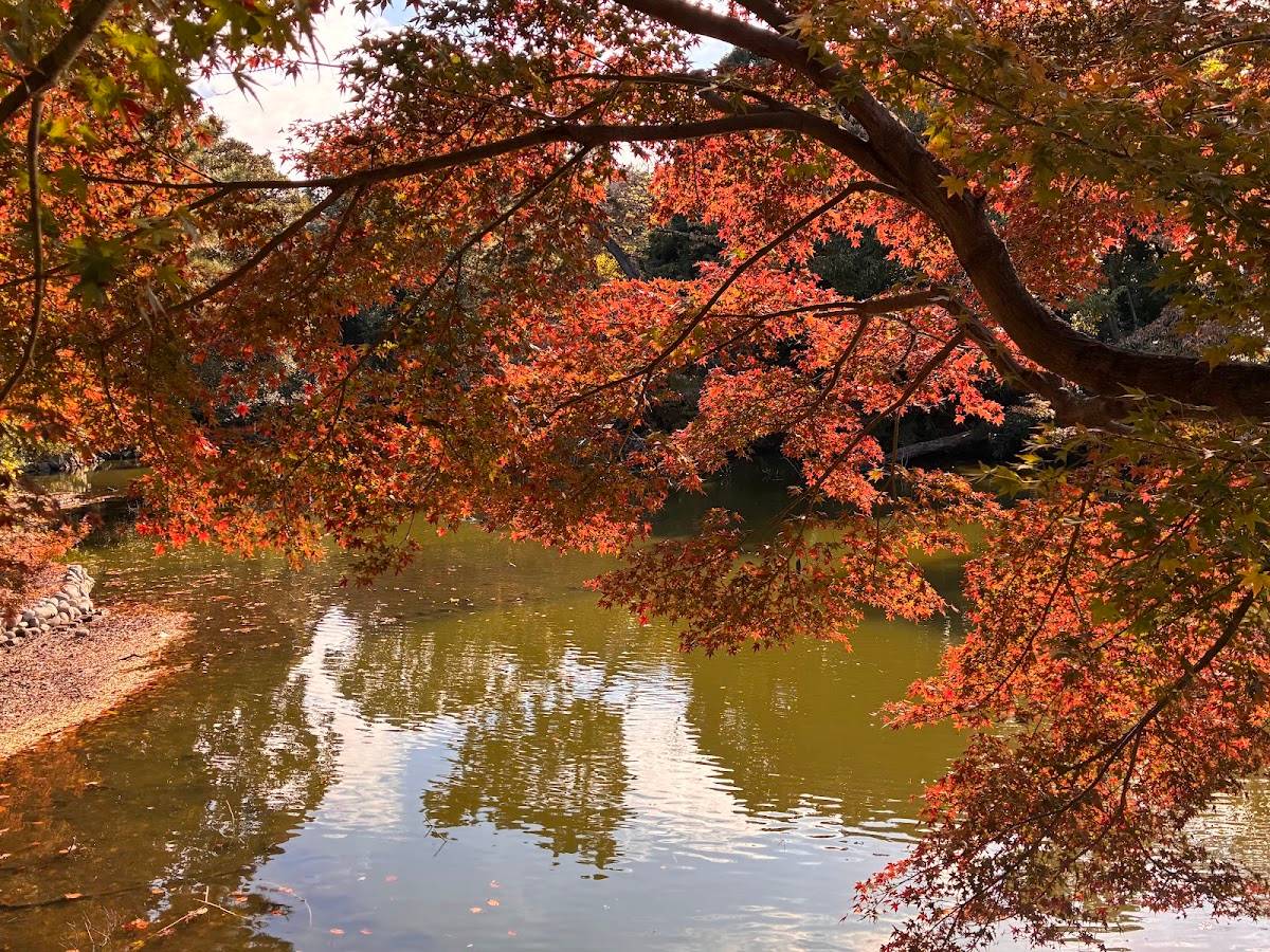 Tamamo Pond