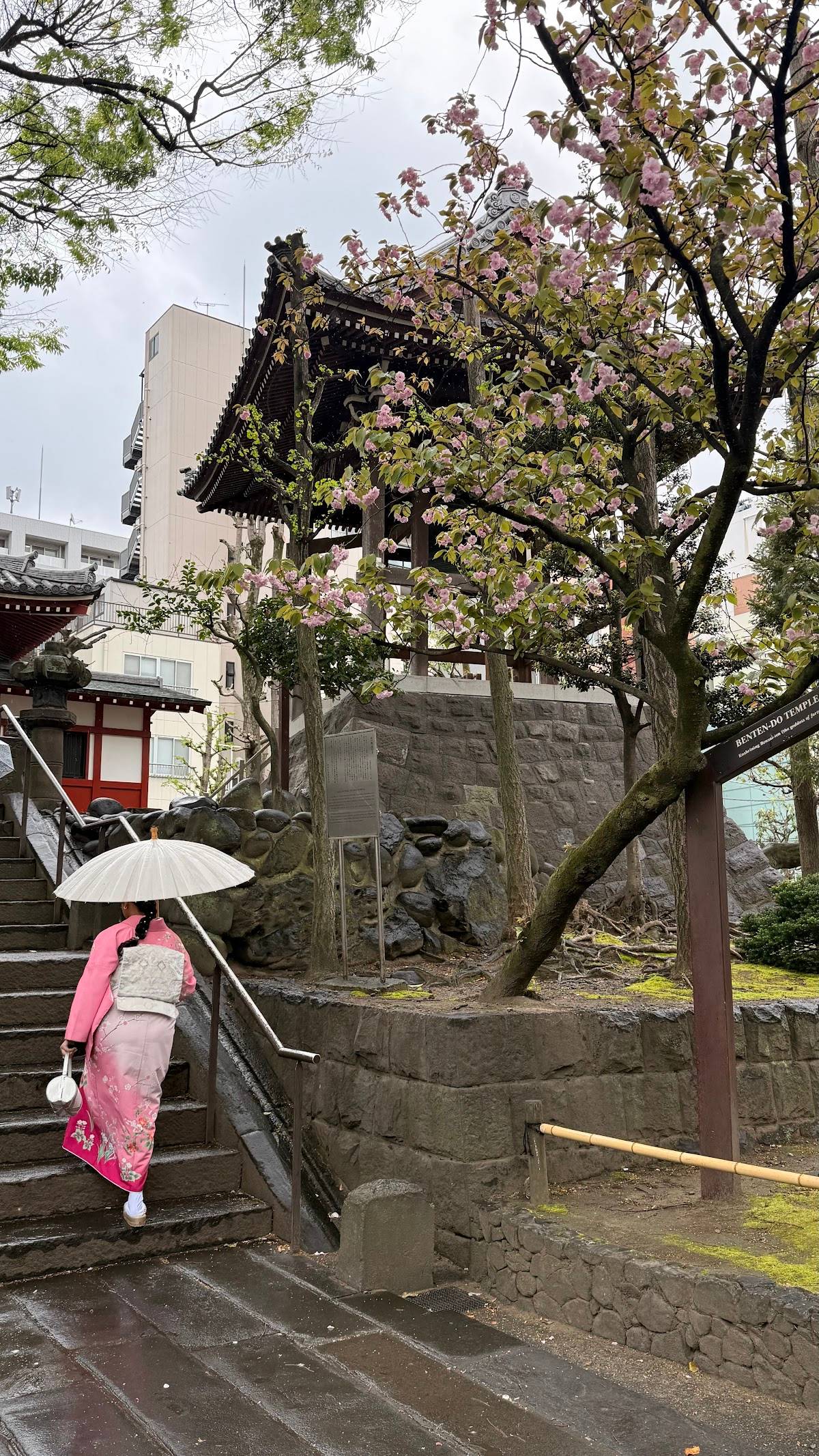 Tokio Tours en español