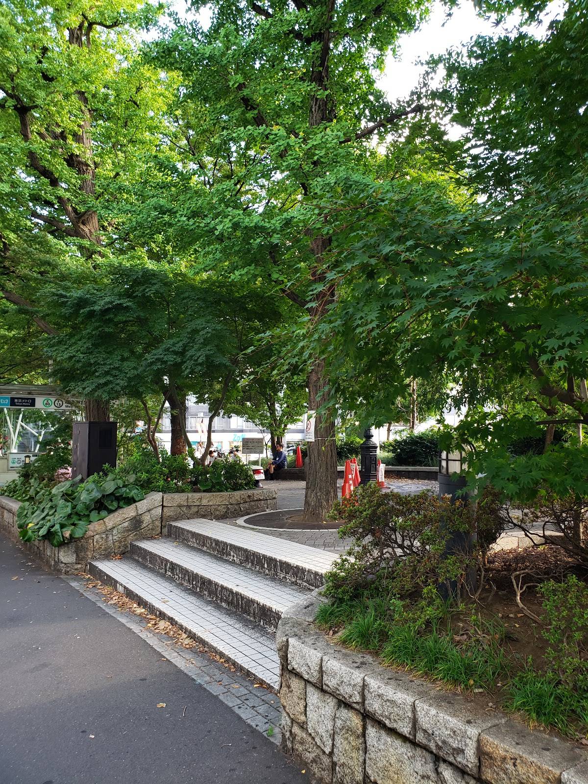 Town Corner Garden