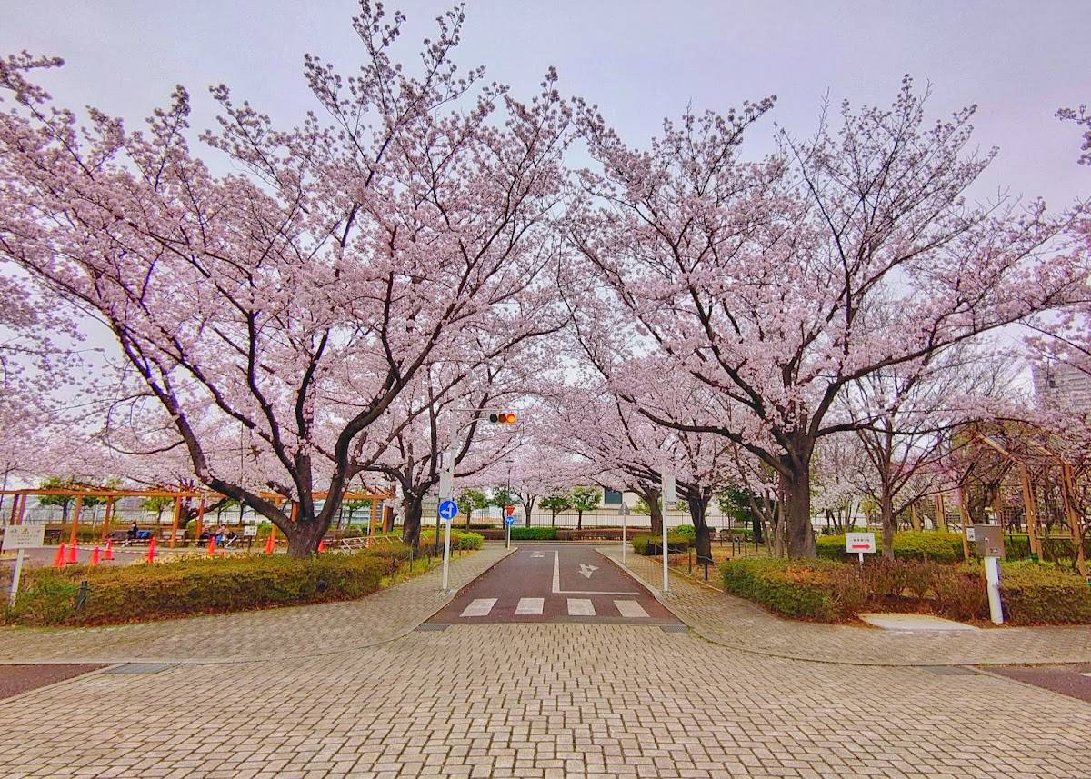 Traffic Park
