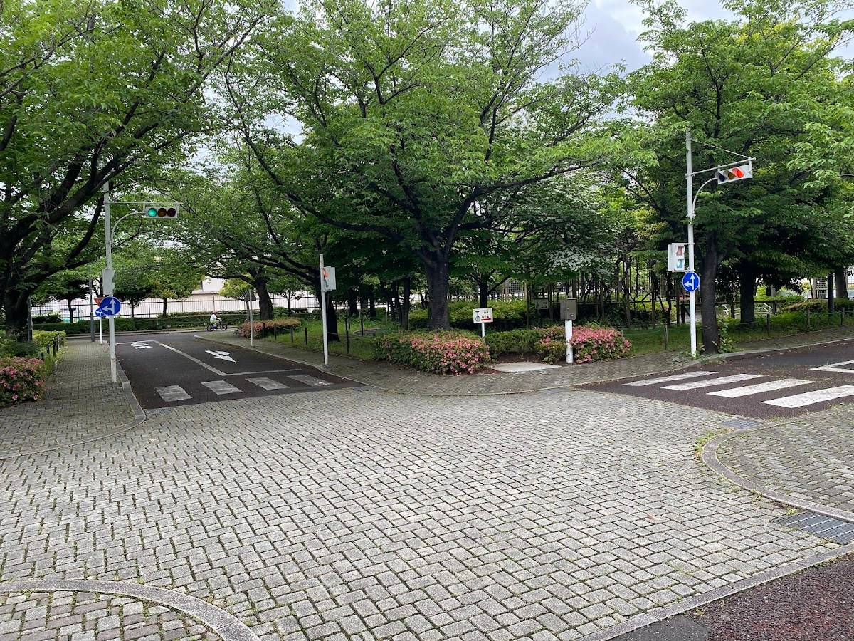 Traffic Park