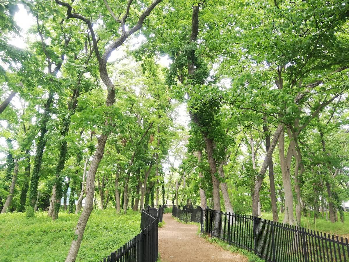 Wadabori Park Seibiyama Forest