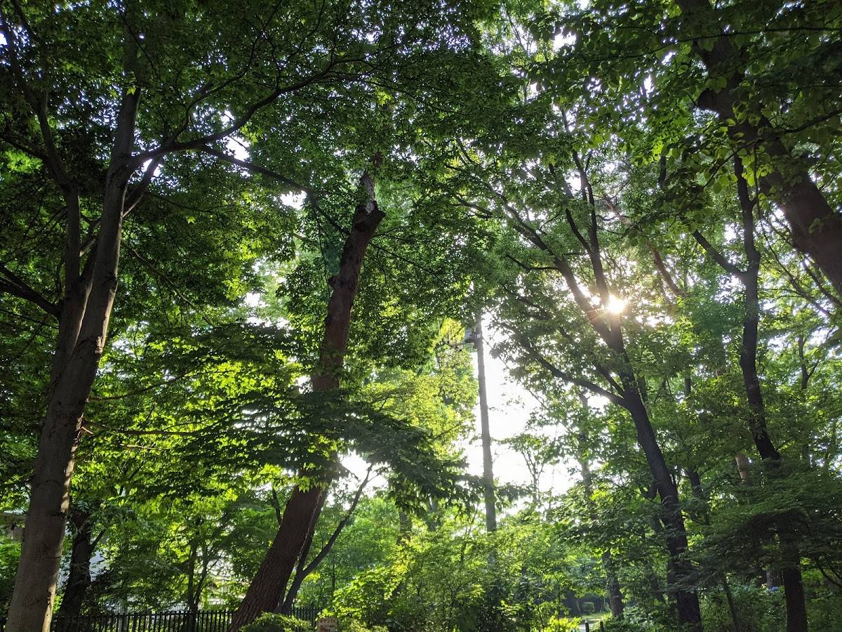 Yachonomori Park